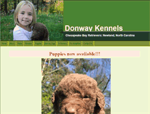 Tablet Screenshot of donwaykennels.com